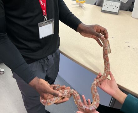Zoolab 4