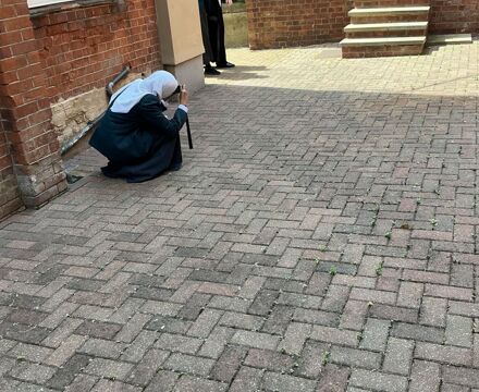 IMG 0281